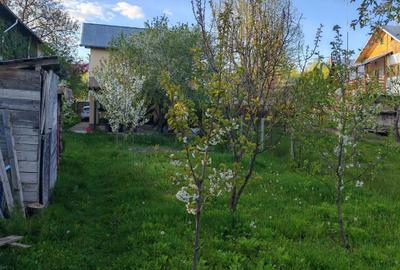 Casă cu 3 camere în Răzvad - 3