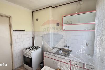 Apartament cu 3 camere semidecomandat, mobilat în Podgoria - 12