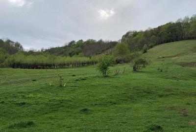 Casă cu Teren 1000 Mp în Veseud (Slimnic) - 6