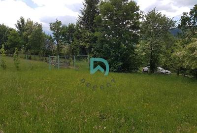 Oportunitate Investitie teren Predelut - 3