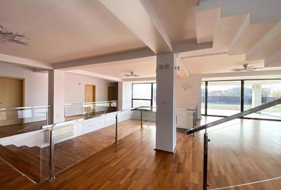 Spațiu comercial, de 650 mp, în Micălaca - 2