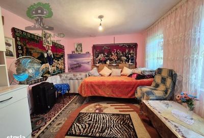 Casă cu 4 camere în Vulturi - 13