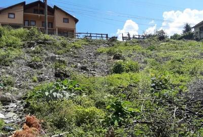 Teren in Bu?teni, 500 mp - 2