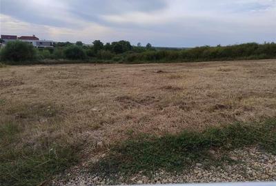 RECO Teren intravilan, Paleu - 3