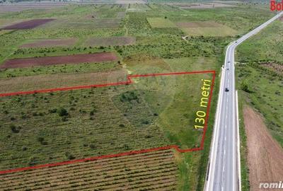 Teren Bolotesti pe soseaua Vrancei - 5