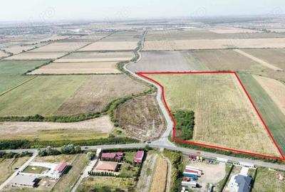 Teren vast in Satu Mare | 76.624 mp pentru dezvoltare imobiliara si servicii - 1