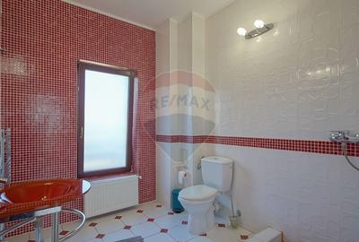 Casa de inchiriat, "acasa" in mijlocul naturii, aproape de Brasov! - 20