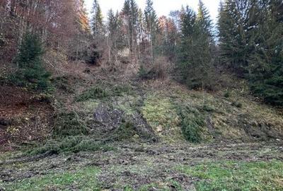 Teren de 2882 mp, în Dâmbovicioara - 13