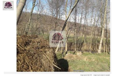 Teren extravilan de 10000 mp, în Cocorova - 4