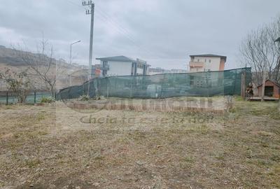 IASI VISAN BUCIUM CASA DUPLEX LA STRADA - 8