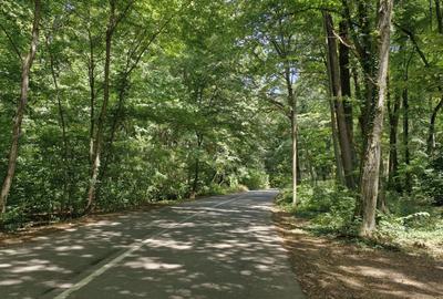 Teren agricol intravilan de 2800 mp, în Ciolpani - 3