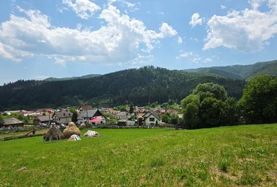 Teren intravilan parcelabil 6312 mp - minim 1000 mp - Rucar, Arge? - 4