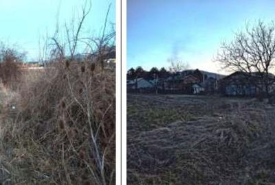 Teren de 1000 mp, în Tomești - 7