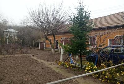 Casă cu 6 camere cu Teren 940 Mp în Păuleasca - 5