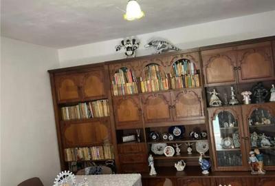 Casă cu 3 camere cu Teren 3300 Mp în Felcheriu - 13