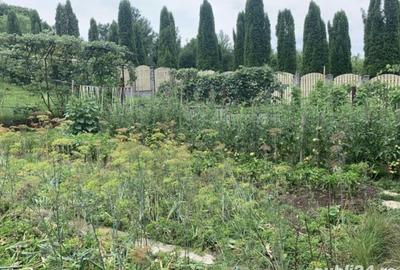 Casă cu 5 camere în Goranu - 4