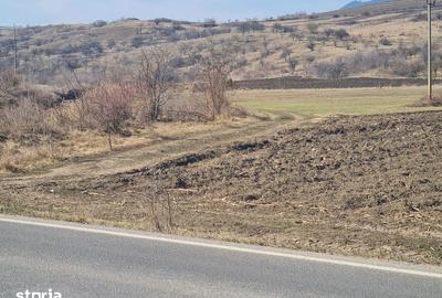 Teren de 4000 mp, în Măgirești - 2