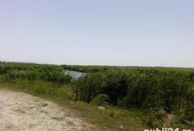 Teren de 9.5 mp, în Ceamurlia de Jos - 3