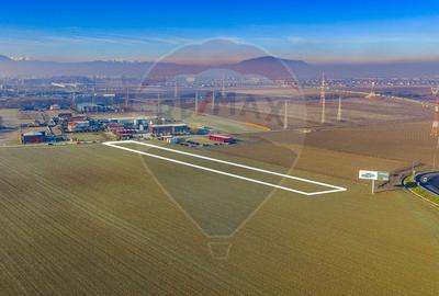Teren intravilan de 4900 mp, în Sânpetru - 3