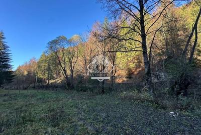 Teren 2.882 mp – oportunitate investitie - Cheile Dâmbovicioarei - 7