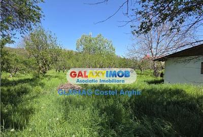 Teren de 3600 mp, în Călinești - 4