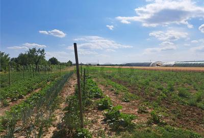 RECO Casa in Sanlazar - 3