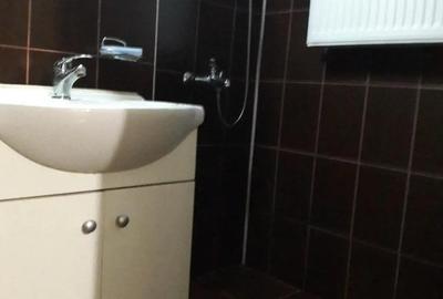 Ap 2 camere etj 3,zona Panaur- Balcescu - 6