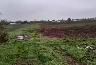 Teren Construcții intravilan de 2250 mp, în 1 Decembrie - 9