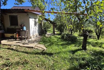 Teren intravilan in zona Sarma? - 7