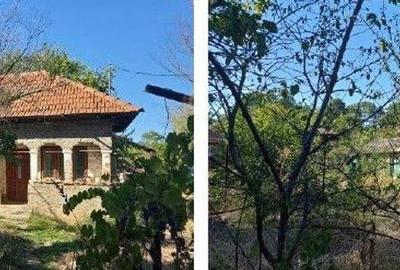 Casă cu 2 camere cu Teren 1703 Mp în Odobești - 5