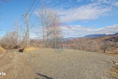 Spațiu comercial, în Sohodol - 6