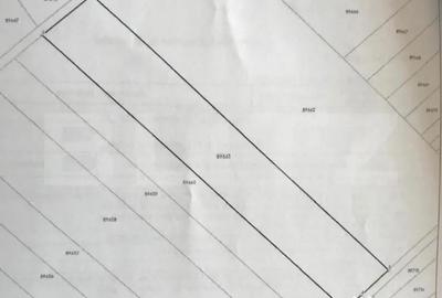 Teren de 5000 mp, în Centură - 1