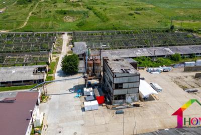 Teren 100.000 mp + Spatii Industriale Bacau - 3
