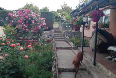 Casa Superba cu Piscina - 1