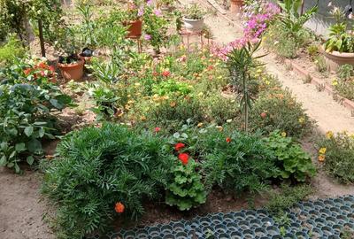 De vanzare apartament pe doua niveluri cu curte proprie - 5