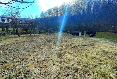 Teren construibil 1195 mp, Faget (incadrare urbanistica LID) - 3