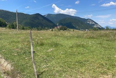 OORTUNITATE UNICA Teren 4000 mp cu Priveliste Impresionantă - 5