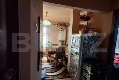 Apartament de vanzare cu 2 camere, 46 mp, zona Brazda lui No - 4