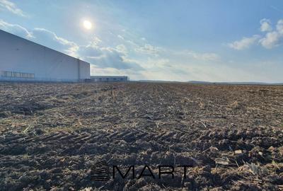 Teren industrial 6000 mp zona industriala Vest - 4