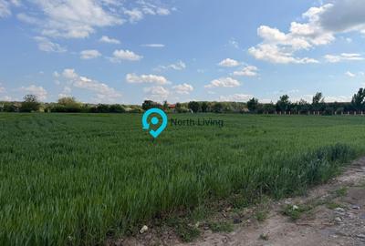 Teren Construcții intravilan de 1127 mp, în Snagov - 4