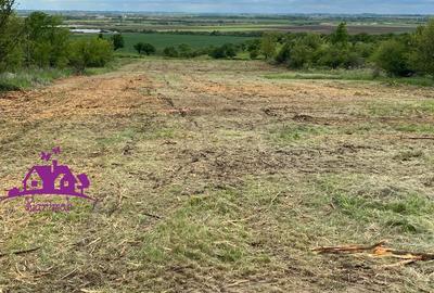 Teren extravilan zona Episcopia - 3