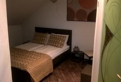 Casa 9 camere renovata, pretabila pensiune CRISTIAN - 4