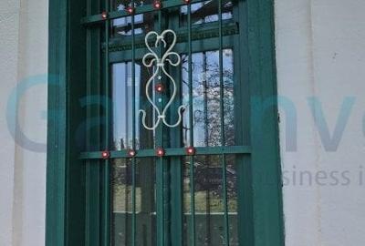 Gaminvest Conac istoric de poveste, restaurat recent – Poiana, Bihor,V4105 - 4