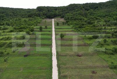 Parcele de 500,700,1000 mp in Aiud , autorizatie de construc - 2