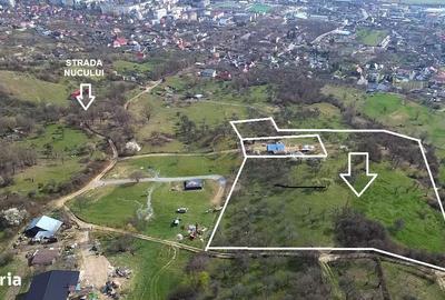 Teren de 10000 mp, în Central - 7