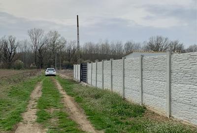 Teren de 425 mp, în Exterior Vest - 4