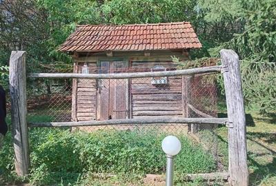 OCAZIE!!! CASA SUPERBA cu teren in JULITA jud Arad in M tii Zarandului - 60