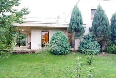 Casa deosebita, 5 camere, 800 mp teren, zona Bogdanestilor - 3