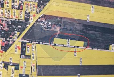 Teren intravilan 4000mp deschidere 150m, Fundulea, Str Micsunelelor