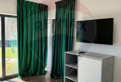 Proprietate specială, de 280 mp, în Almaș - 17